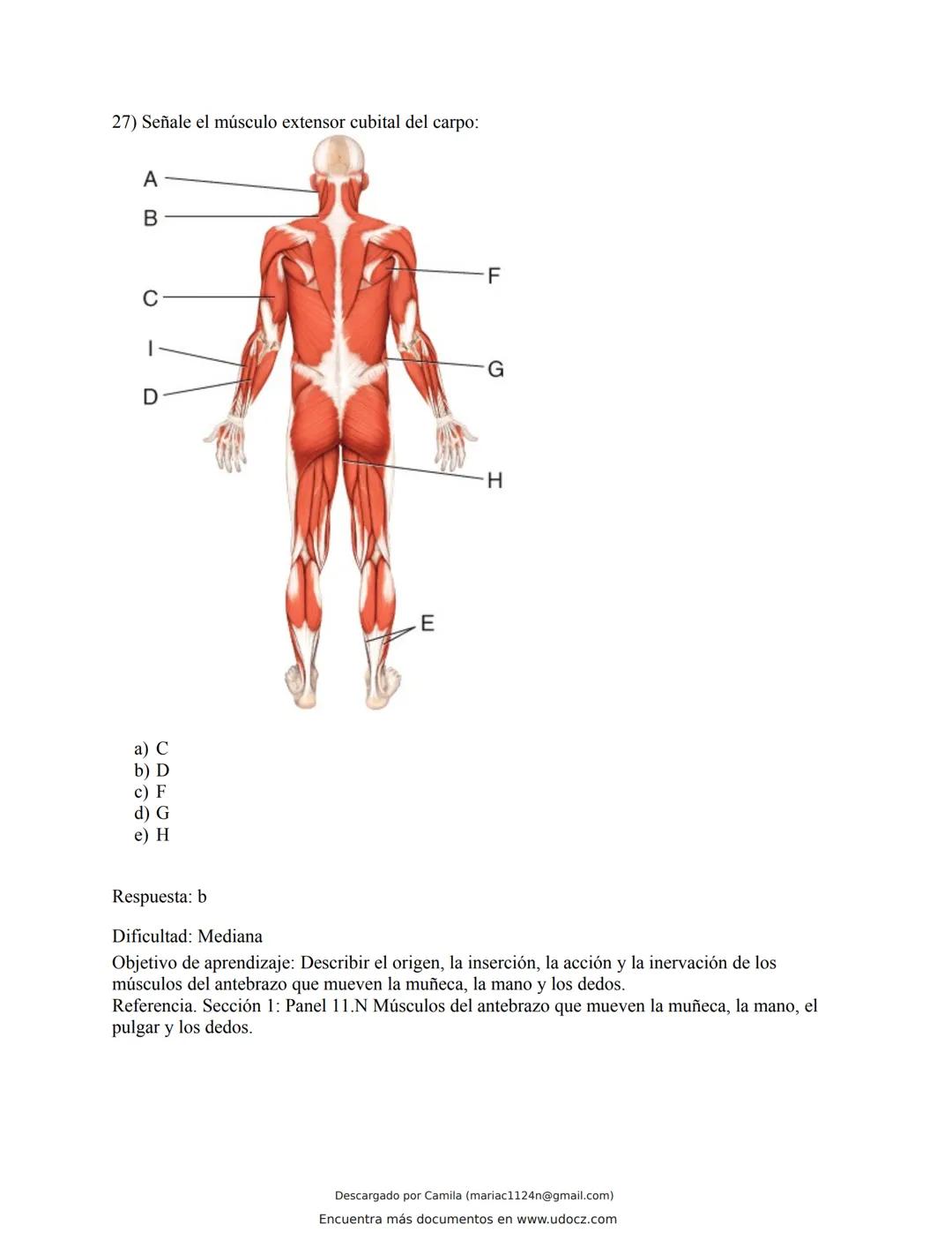 # Docz
Accede a apuntes, guías, libros y más de tu carrera
Banco Preguntas Cap11 Tortora
103 pag.
Descargado por Camila (mariac1124n@gmail
