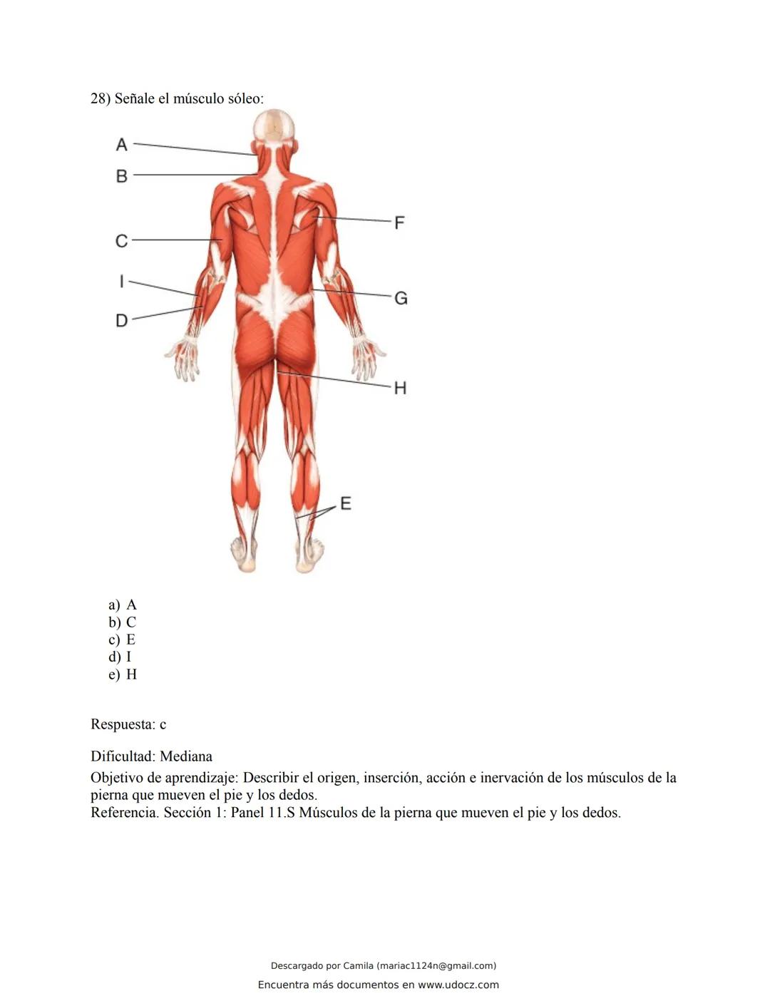 # Docz
Accede a apuntes, guías, libros y más de tu carrera
Banco Preguntas Cap11 Tortora
103 pag.
Descargado por Camila (mariac1124n@gmail