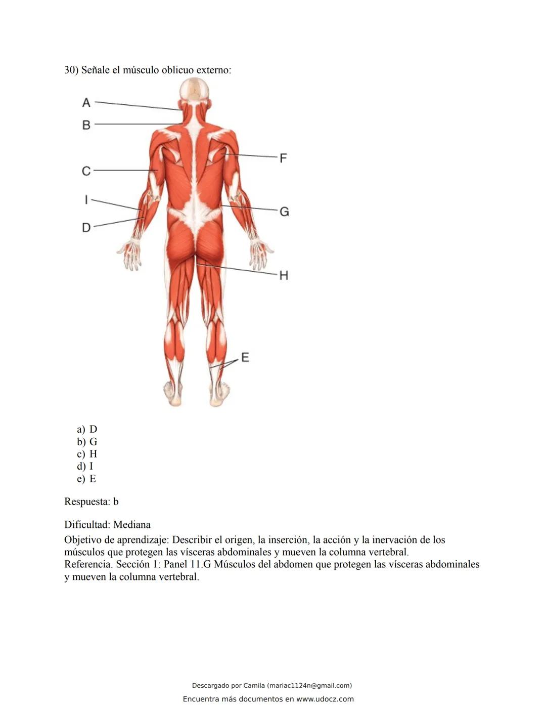 # Docz
Accede a apuntes, guías, libros y más de tu carrera
Banco Preguntas Cap11 Tortora
103 pag.
Descargado por Camila (mariac1124n@gmail