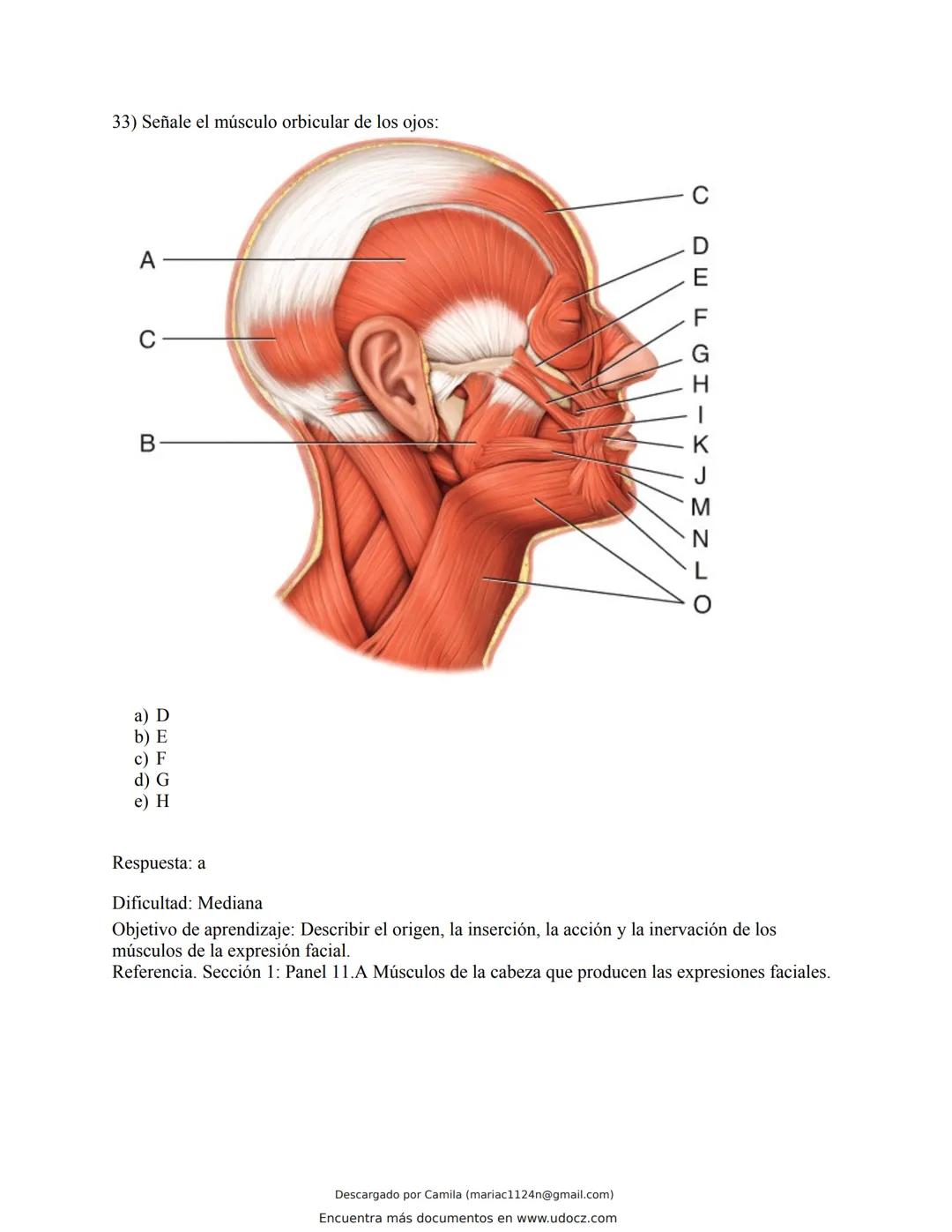 # Docz
Accede a apuntes, guías, libros y más de tu carrera
Banco Preguntas Cap11 Tortora
103 pag.
Descargado por Camila (mariac1124n@gmail
