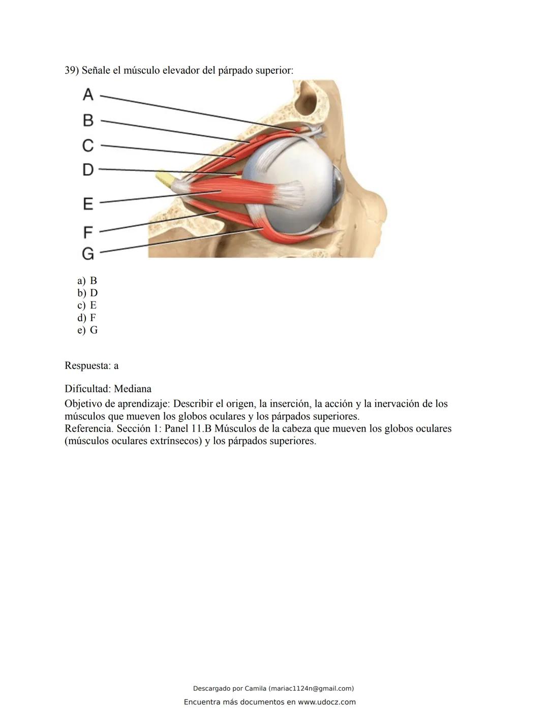 # Docz
Accede a apuntes, guías, libros y más de tu carrera
Banco Preguntas Cap11 Tortora
103 pag.
Descargado por Camila (mariac1124n@gmail