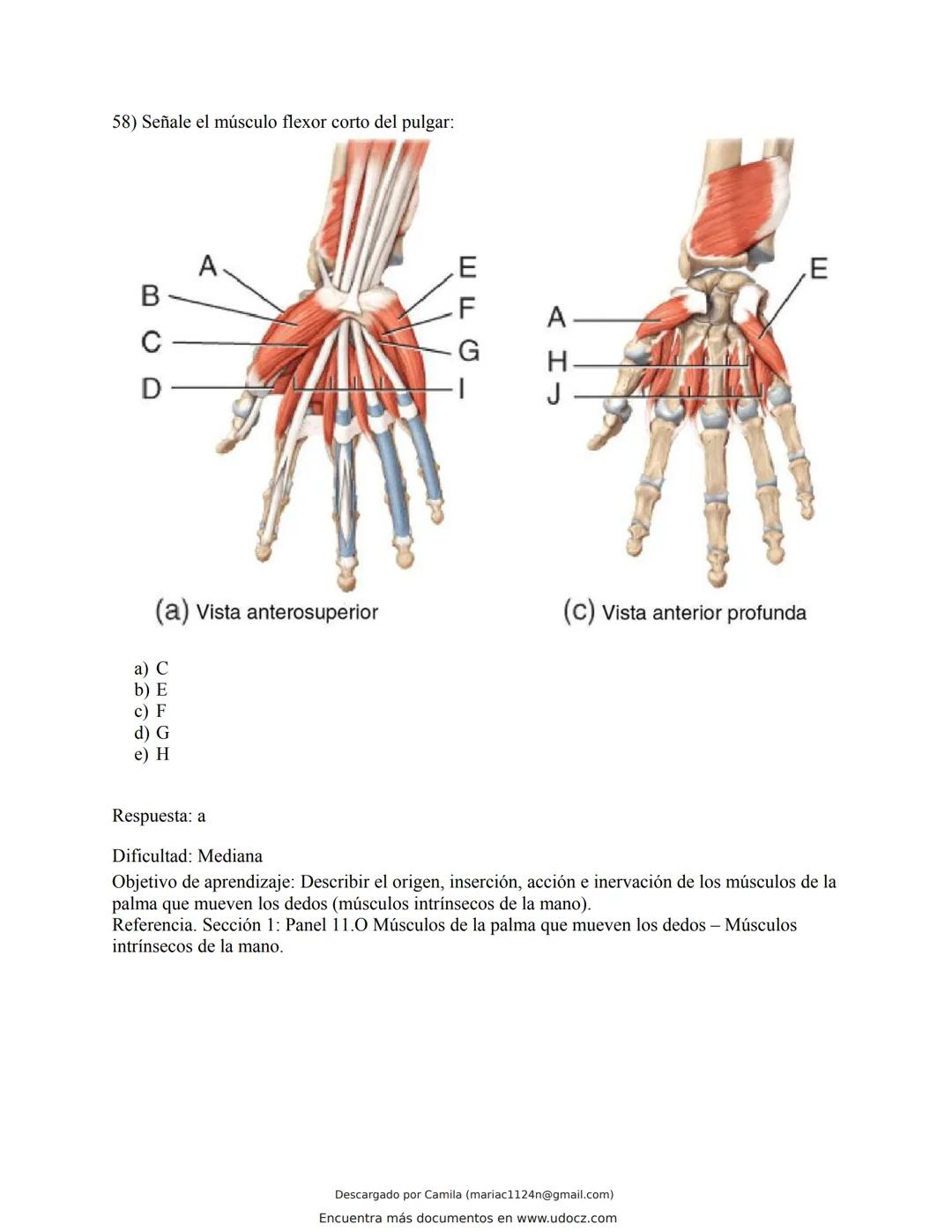 # Docz
Accede a apuntes, guías, libros y más de tu carrera
Banco Preguntas Cap11 Tortora
103 pag.
Descargado por Camila (mariac1124n@gmail