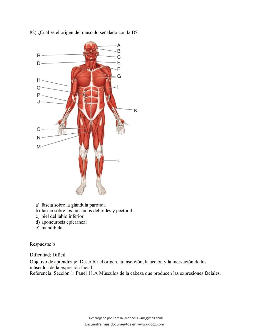 # Docz
Accede a apuntes, guías, libros y más de tu carrera
Banco Preguntas Cap11 Tortora
103 pag.
Descargado por Camila (mariac1124n@gmail