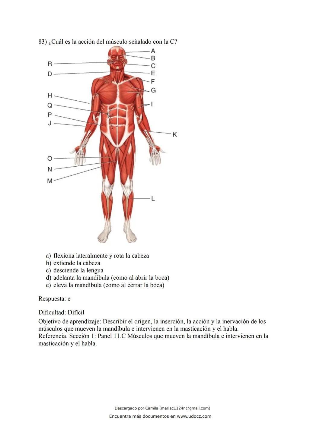 # Docz
Accede a apuntes, guías, libros y más de tu carrera
Banco Preguntas Cap11 Tortora
103 pag.
Descargado por Camila (mariac1124n@gmail