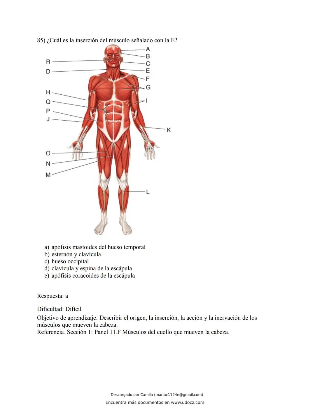 # Docz
Accede a apuntes, guías, libros y más de tu carrera
Banco Preguntas Cap11 Tortora
103 pag.
Descargado por Camila (mariac1124n@gmail