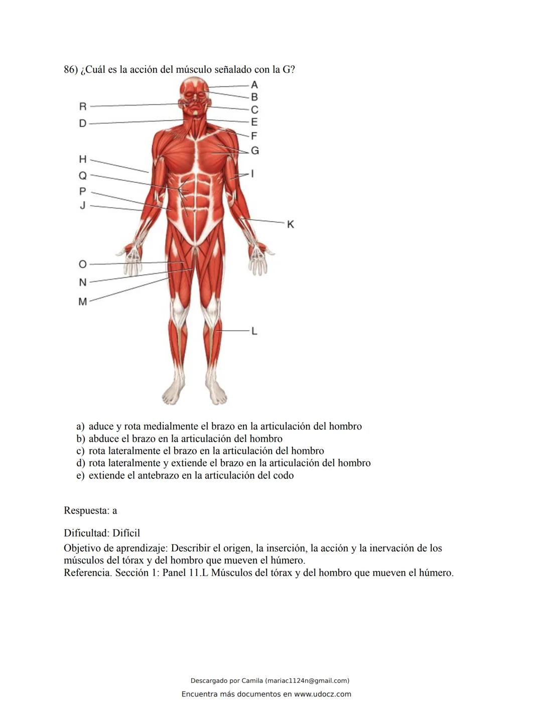 # Docz
Accede a apuntes, guías, libros y más de tu carrera
Banco Preguntas Cap11 Tortora
103 pag.
Descargado por Camila (mariac1124n@gmail