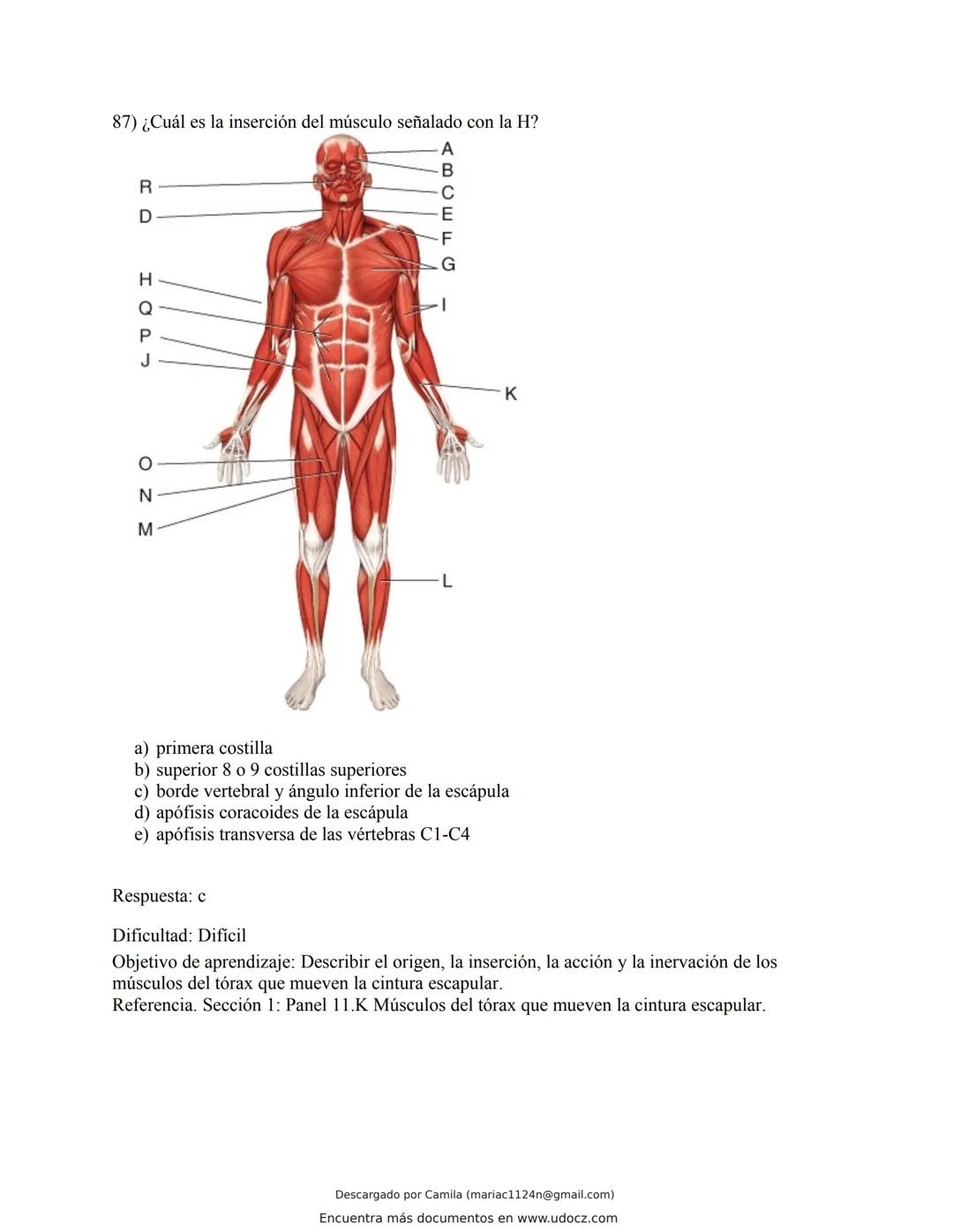 # Docz
Accede a apuntes, guías, libros y más de tu carrera
Banco Preguntas Cap11 Tortora
103 pag.
Descargado por Camila (mariac1124n@gmail