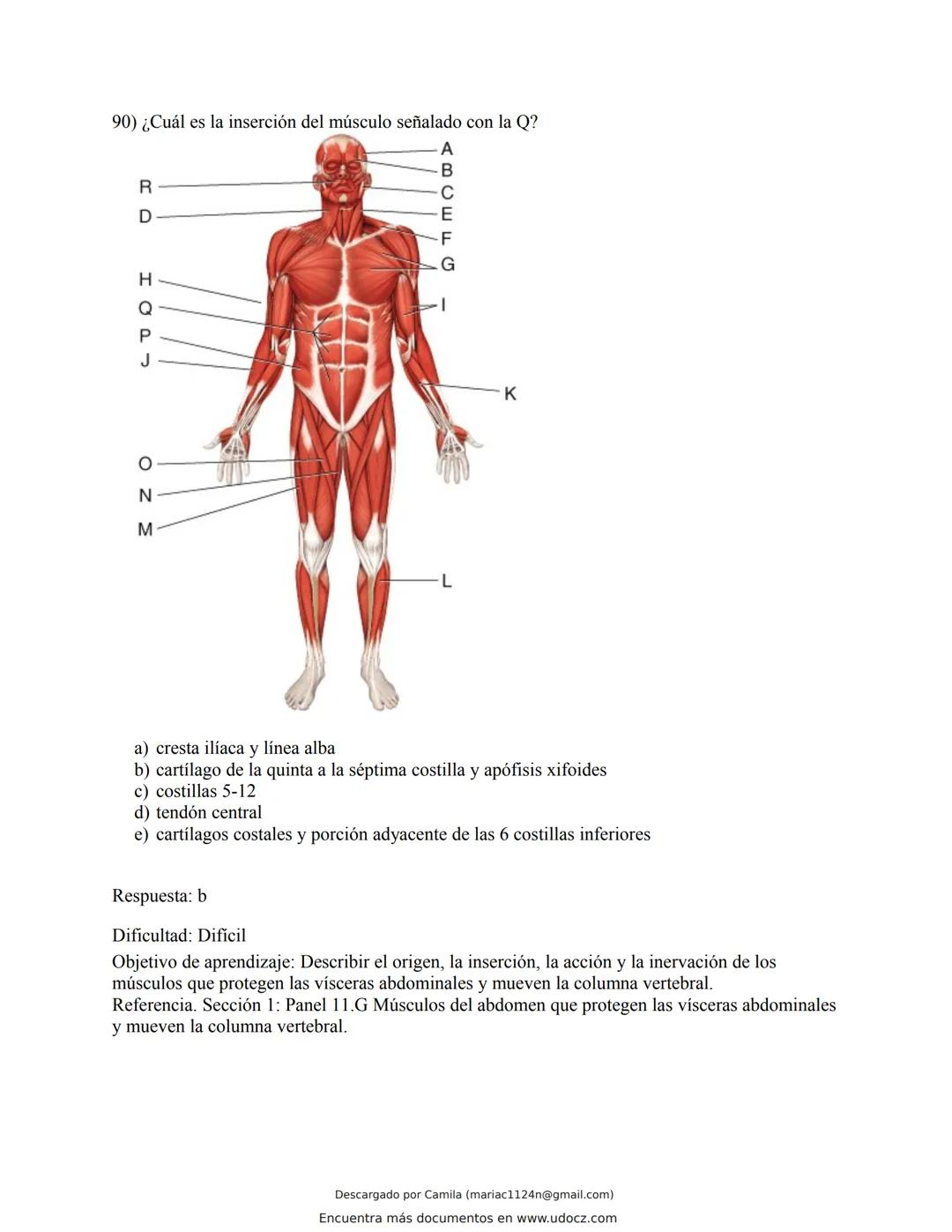 # Docz
Accede a apuntes, guías, libros y más de tu carrera
Banco Preguntas Cap11 Tortora
103 pag.
Descargado por Camila (mariac1124n@gmail