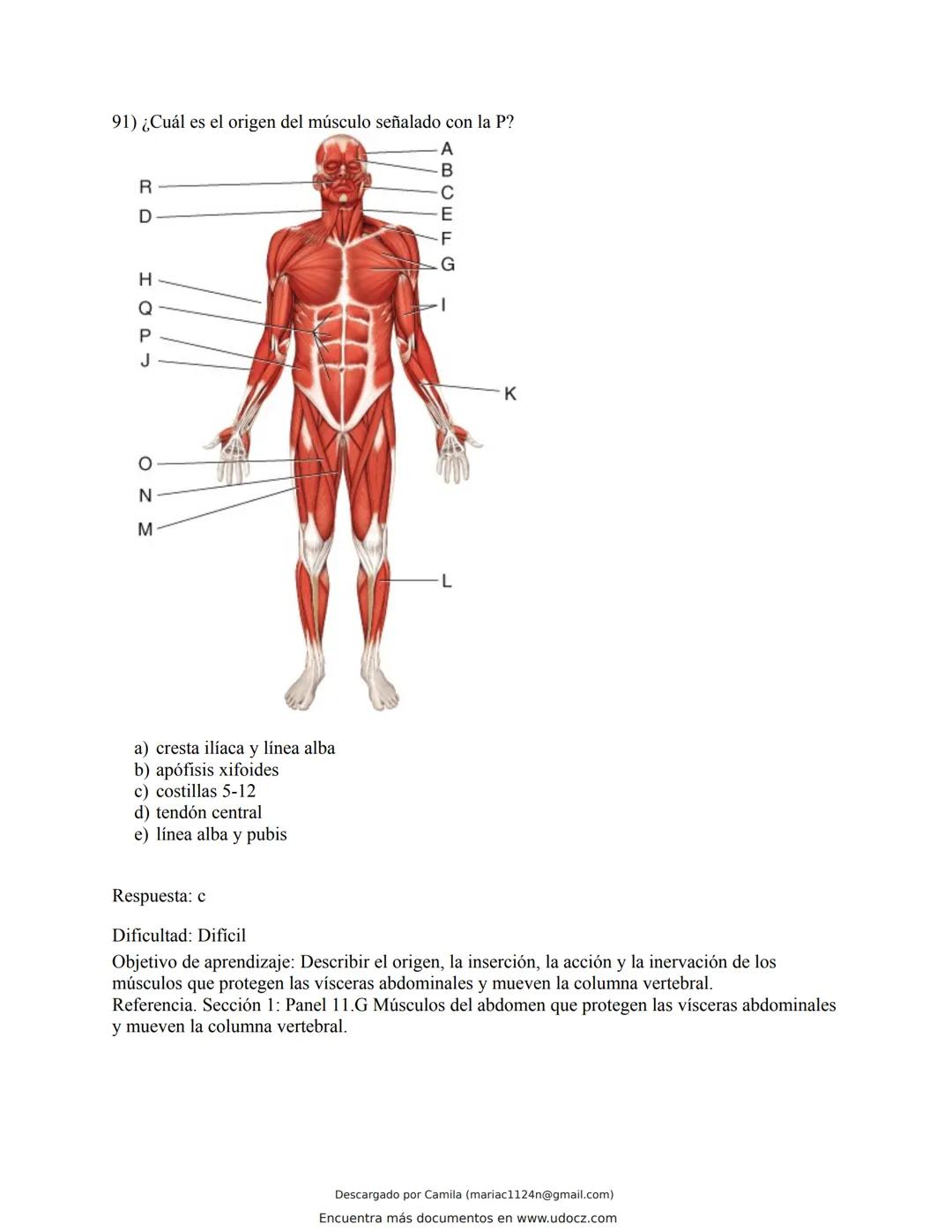 # Docz
Accede a apuntes, guías, libros y más de tu carrera
Banco Preguntas Cap11 Tortora
103 pag.
Descargado por Camila (mariac1124n@gmail
