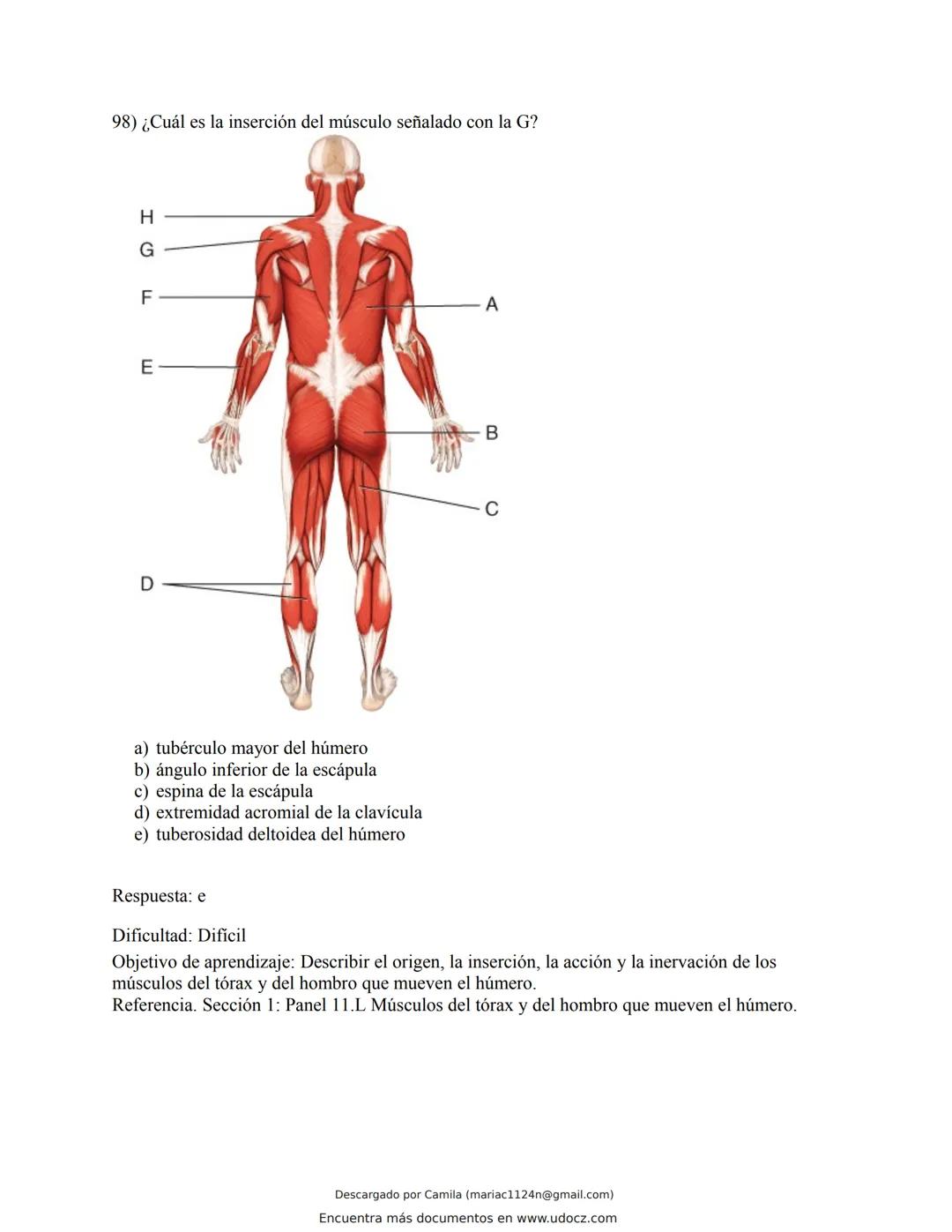 # Docz
Accede a apuntes, guías, libros y más de tu carrera
Banco Preguntas Cap11 Tortora
103 pag.
Descargado por Camila (mariac1124n@gmail