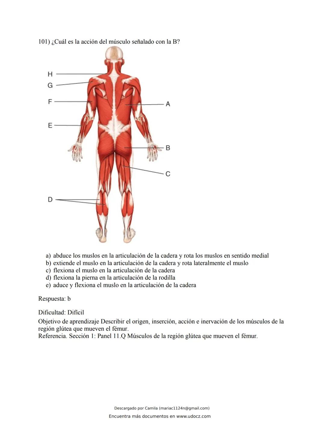 # Docz
Accede a apuntes, guías, libros y más de tu carrera
Banco Preguntas Cap11 Tortora
103 pag.
Descargado por Camila (mariac1124n@gmail