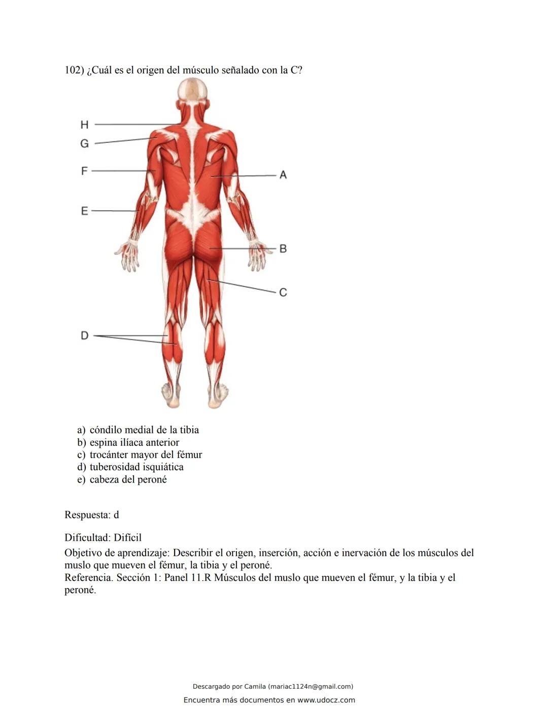 # Docz
Accede a apuntes, guías, libros y más de tu carrera
Banco Preguntas Cap11 Tortora
103 pag.
Descargado por Camila (mariac1124n@gmail