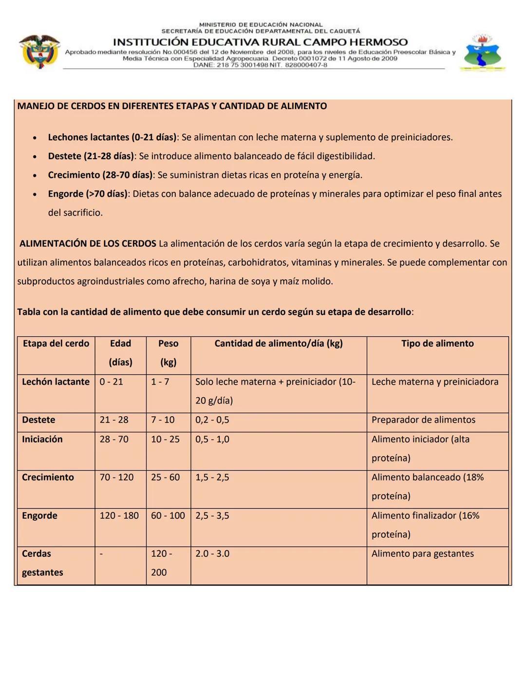 MINISTERIO DE EDUCACIÓN NACIONAL
SECRETARÍA DE EDUCACIÓN DEPARTAMENTAL DEL CAQUETÁ
INSTITUCIÓN EDUCATIVA RURAL CAMPO HERMOSO
Aprobado median