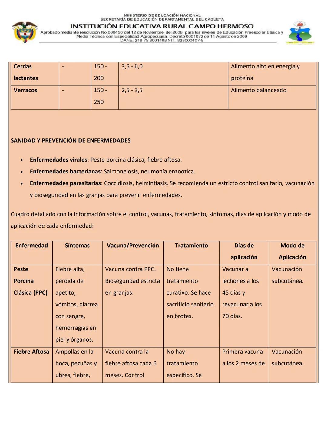 MINISTERIO DE EDUCACIÓN NACIONAL
SECRETARÍA DE EDUCACIÓN DEPARTAMENTAL DEL CAQUETÁ
INSTITUCIÓN EDUCATIVA RURAL CAMPO HERMOSO
Aprobado median