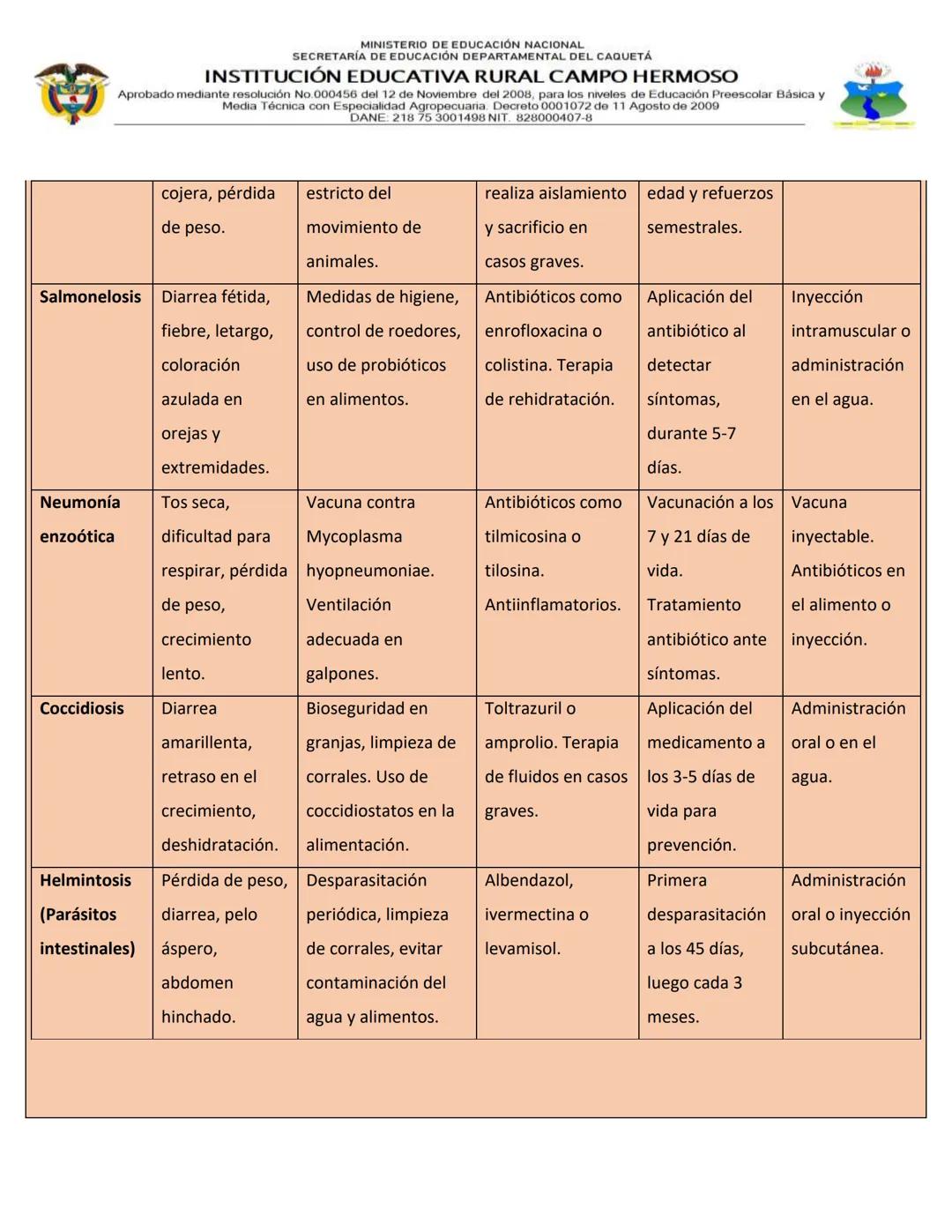MINISTERIO DE EDUCACIÓN NACIONAL
SECRETARÍA DE EDUCACIÓN DEPARTAMENTAL DEL CAQUETÁ
INSTITUCIÓN EDUCATIVA RURAL CAMPO HERMOSO
Aprobado median