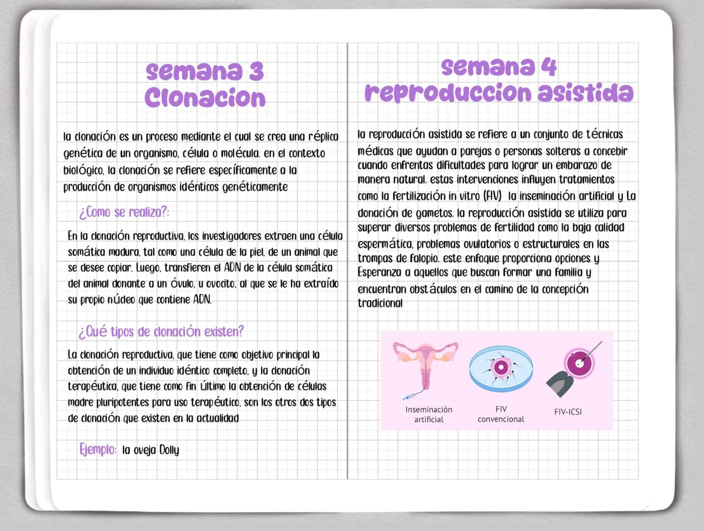 Sweet
Sweet Semana 1
Modificacion Genetica
la modificación genética, también conocida como ingeniería
genética o modificación genética, es