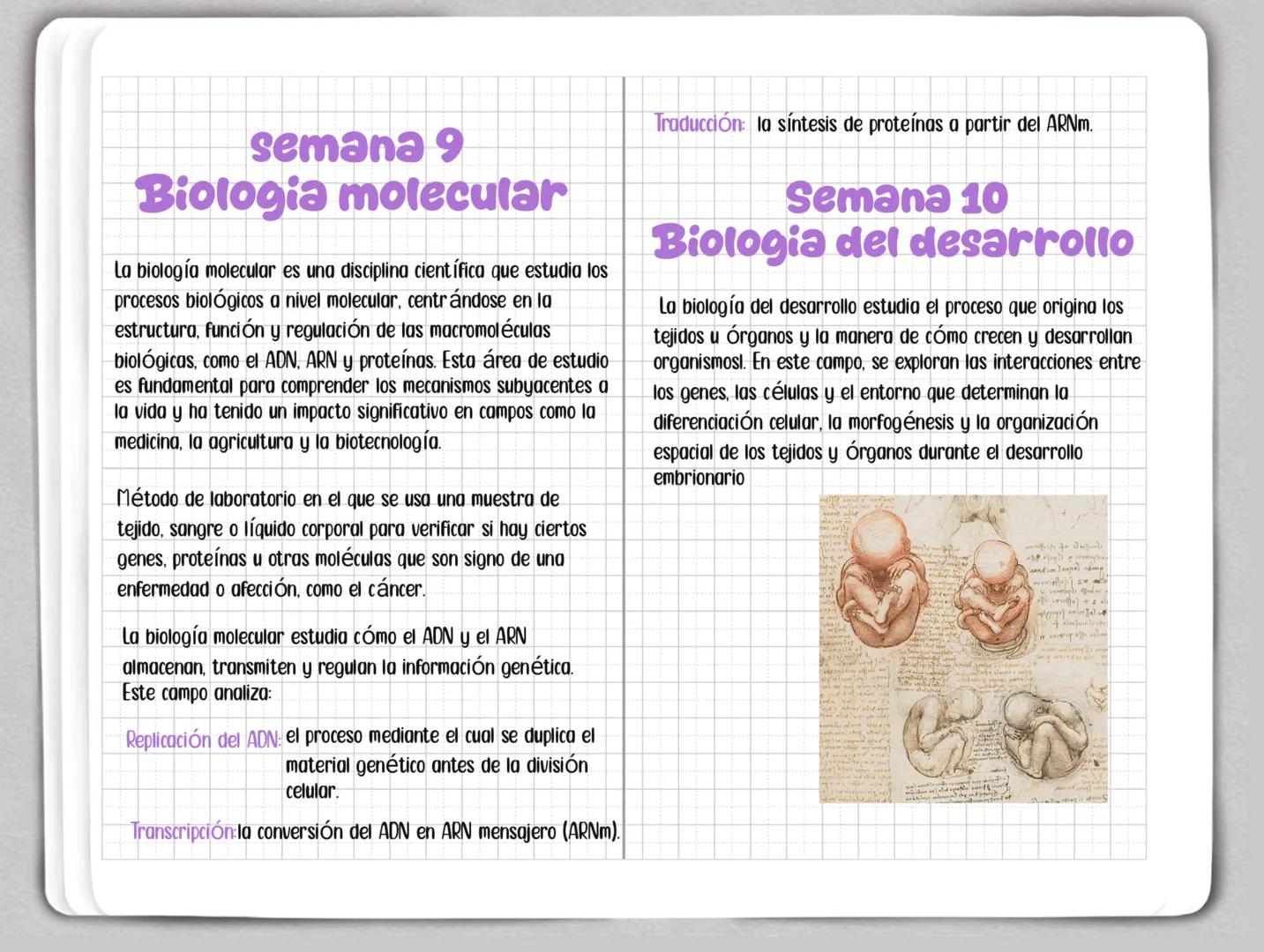 Sweet
Sweet Semana 1
Modificacion Genetica
la modificación genética, también conocida como ingeniería
genética o modificación genética, es