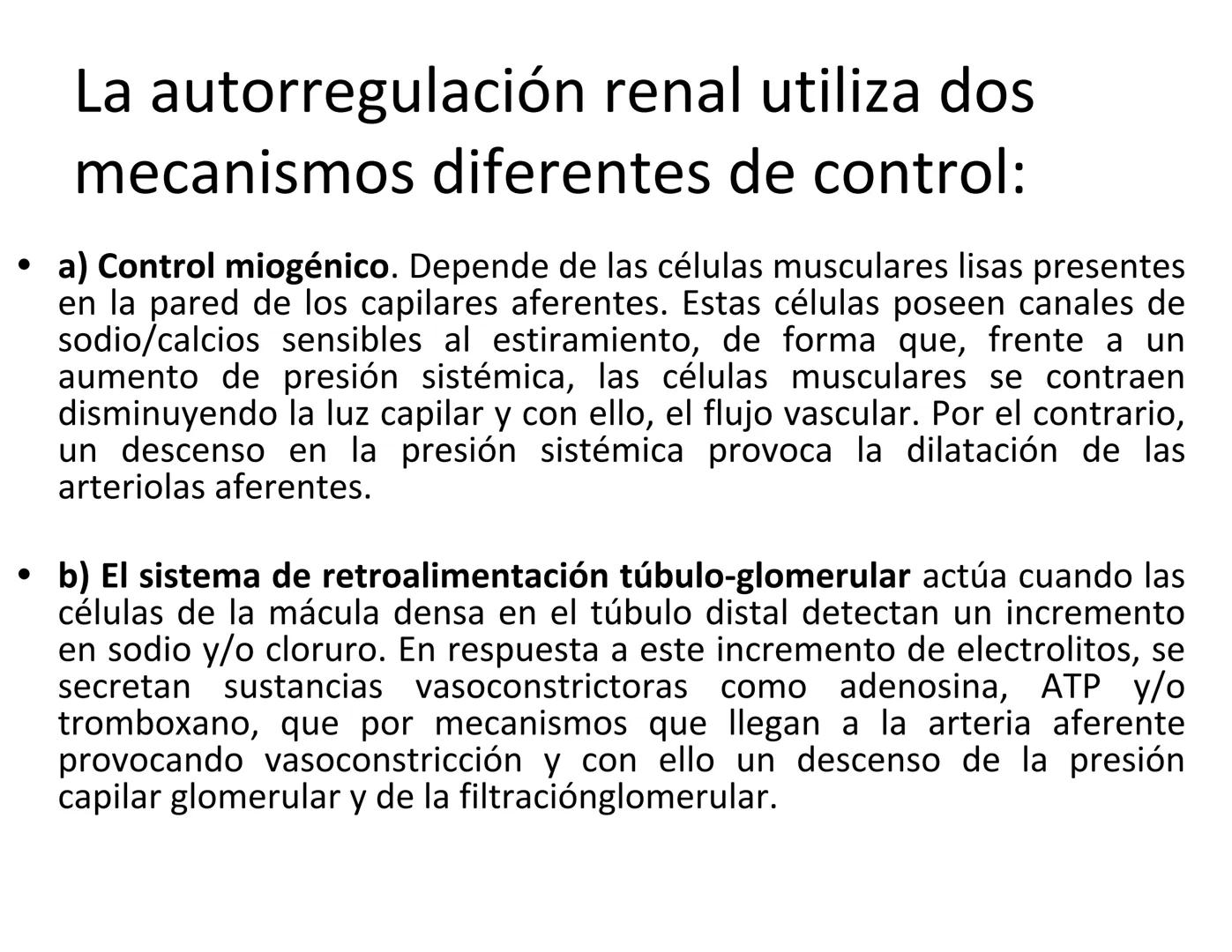 FUNCIONES
Regulación de la composición iónica de la
sangre
• Ayudan a regular los niveles plasmáticos de sodio,
potasio, calcio, cloruro y f