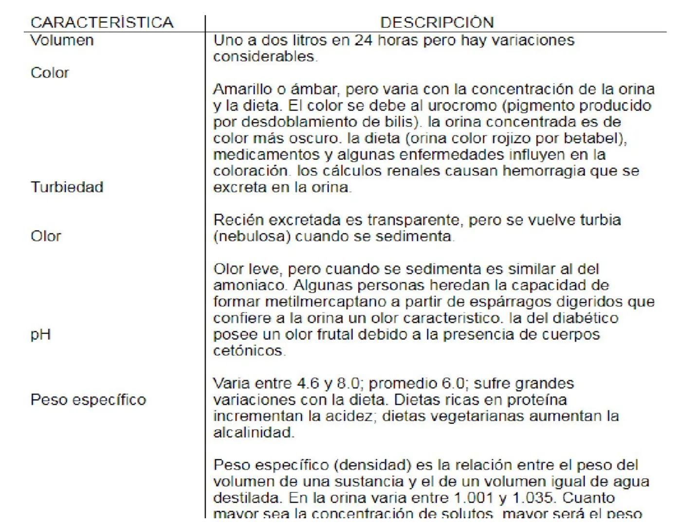 FUNCIONES
Regulación de la composición iónica de la
sangre
• Ayudan a regular los niveles plasmáticos de sodio,
potasio, calcio, cloruro y f
