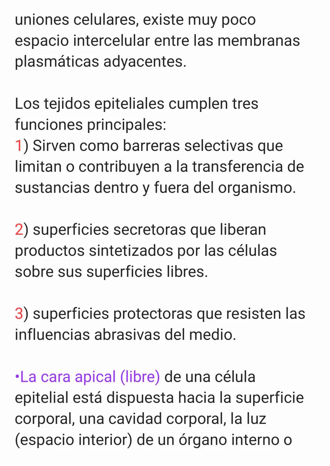 Cap 4. Nivel Tisular.
1. ¿Qué es un tejido?
Un tejido es un grupo de células que sue-
len tener un origen embrionario común y
funcionan en c