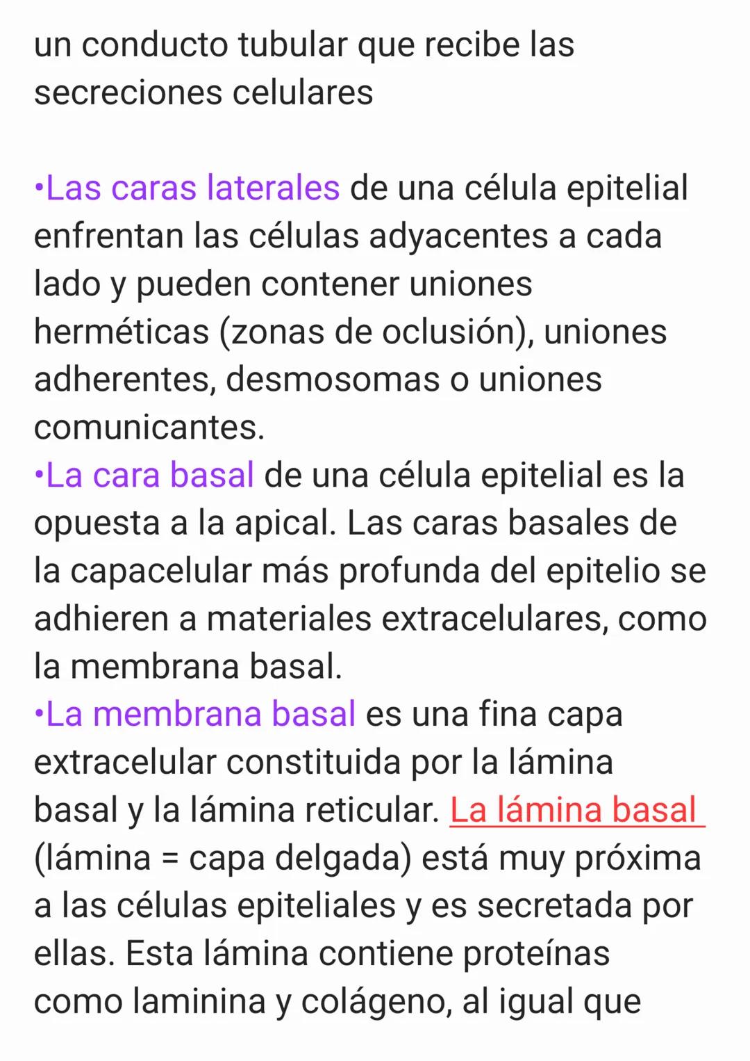 Cap 4. Nivel Tisular.
1. ¿Qué es un tejido?
Un tejido es un grupo de células que sue-
len tener un origen embrionario común y
funcionan en c