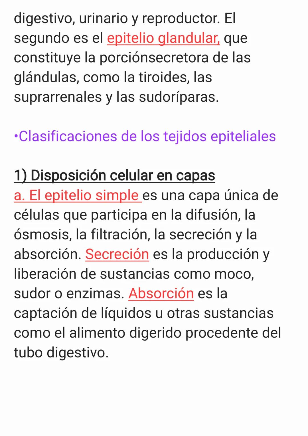 Cap 4. Nivel Tisular.
1. ¿Qué es un tejido?
Un tejido es un grupo de células que sue-
len tener un origen embrionario común y
funcionan en c