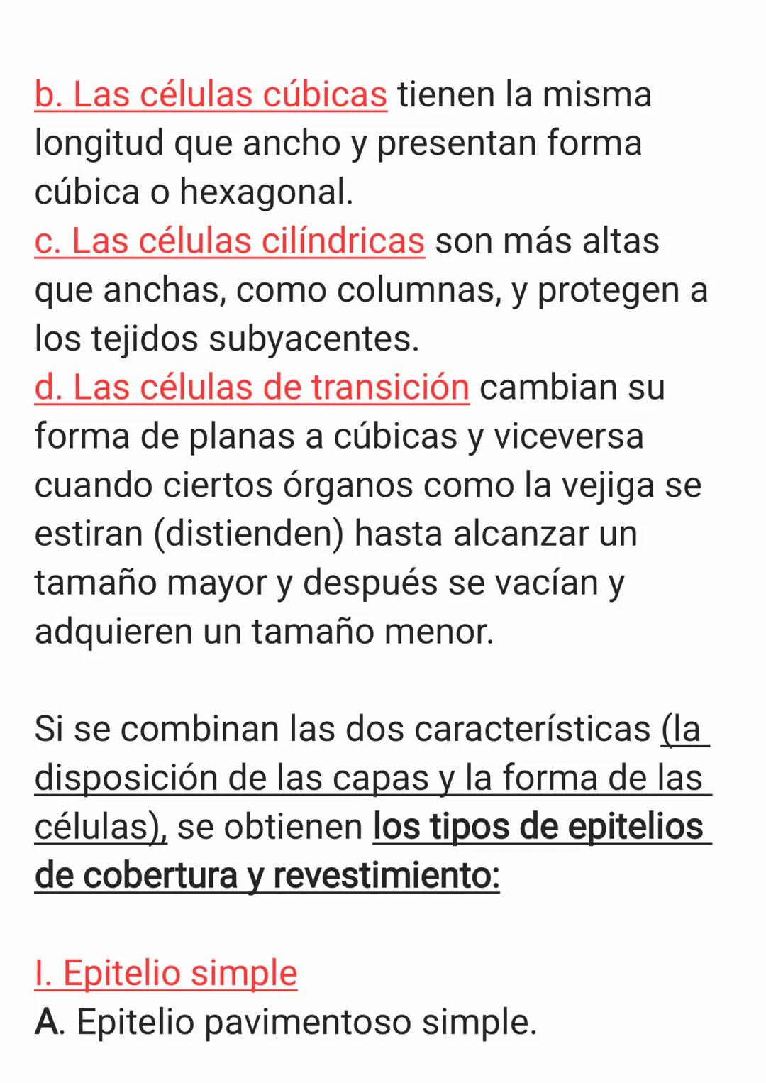 Cap 4. Nivel Tisular.
1. ¿Qué es un tejido?
Un tejido es un grupo de células que sue-
len tener un origen embrionario común y
funcionan en c