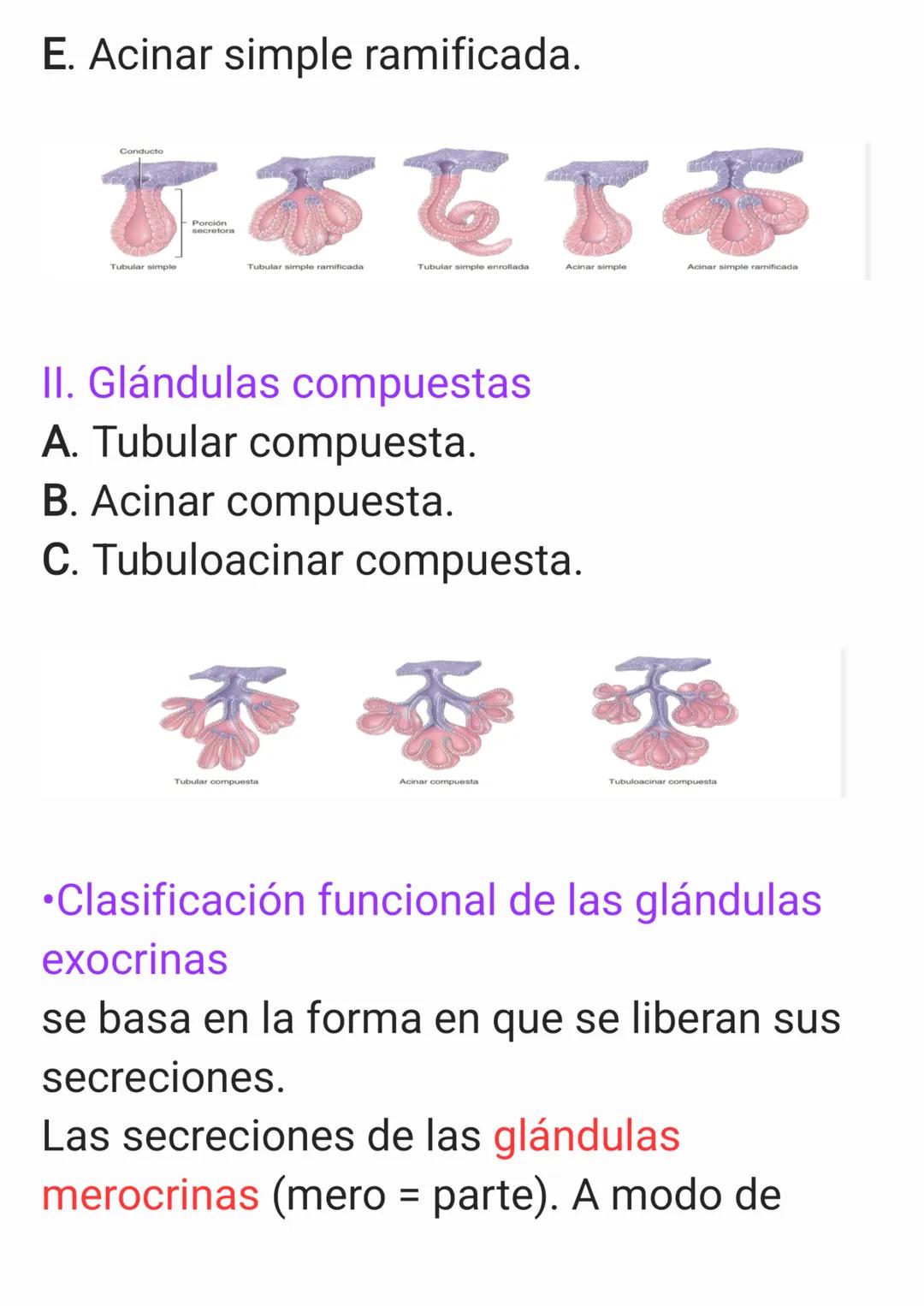 Cap 4. Nivel Tisular.
1. ¿Qué es un tejido?
Un tejido es un grupo de células que sue-
len tener un origen embrionario común y
funcionan en c