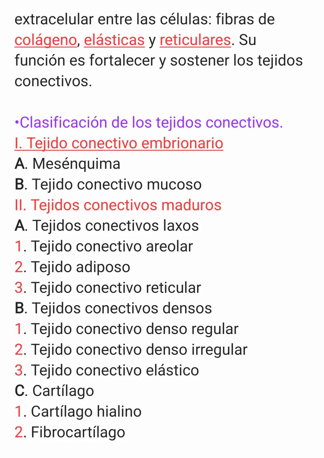 Cap 4. Nivel Tisular.
1. ¿Qué es un tejido?
Un tejido es un grupo de células que sue-
len tener un origen embrionario común y
funcionan en c