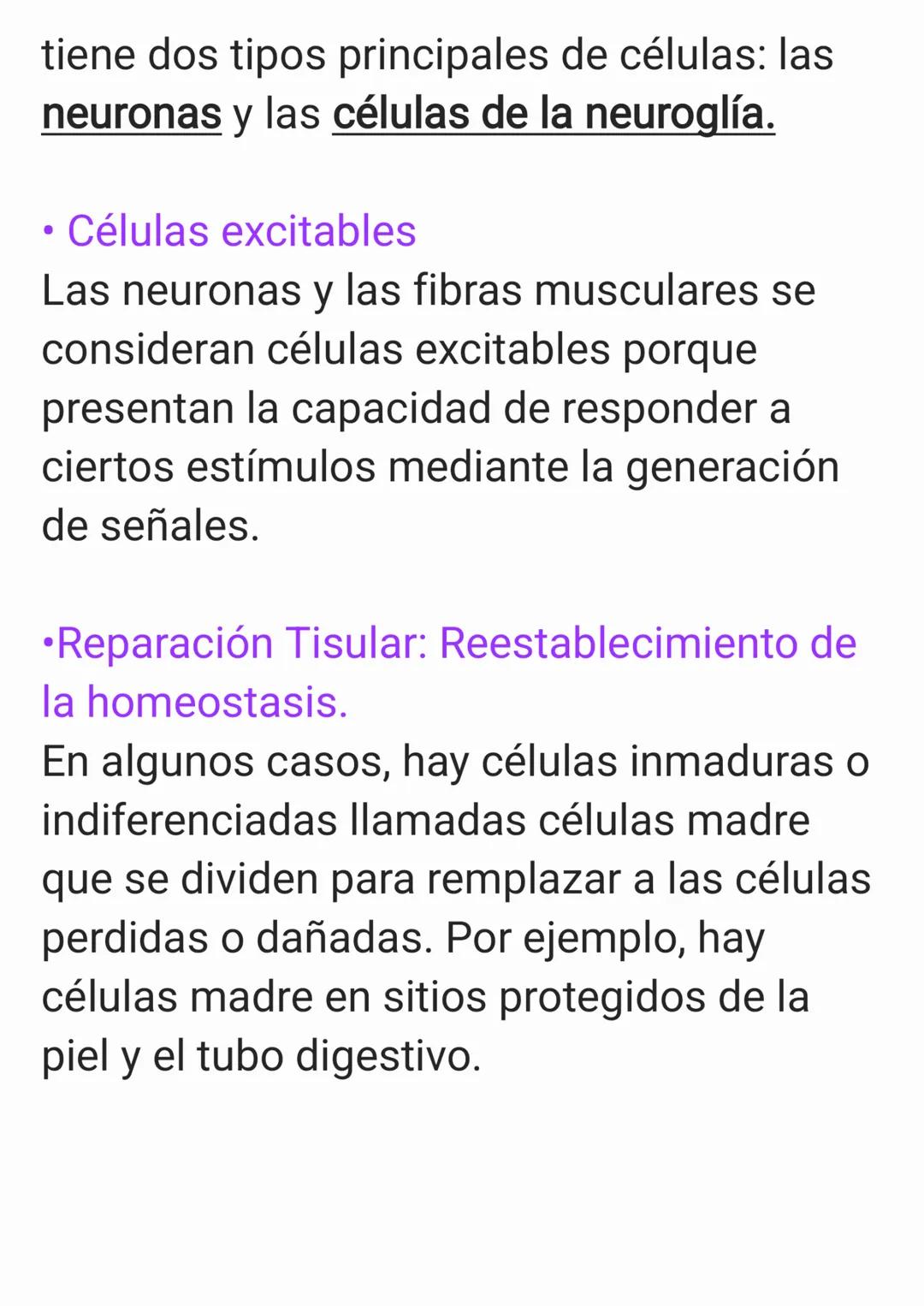 Cap 4. Nivel Tisular.
1. ¿Qué es un tejido?
Un tejido es un grupo de células que sue-
len tener un origen embrionario común y
funcionan en c