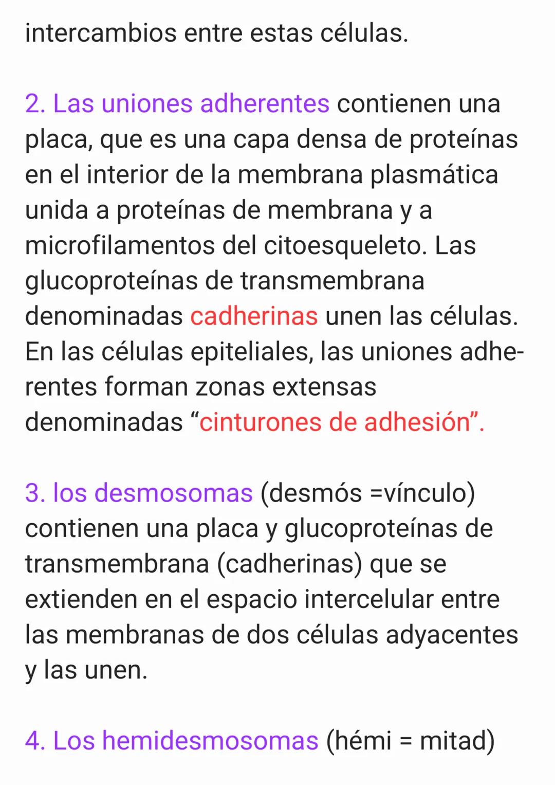 Cap 4. Nivel Tisular.
1. ¿Qué es un tejido?
Un tejido es un grupo de células que sue-
len tener un origen embrionario común y
funcionan en c
