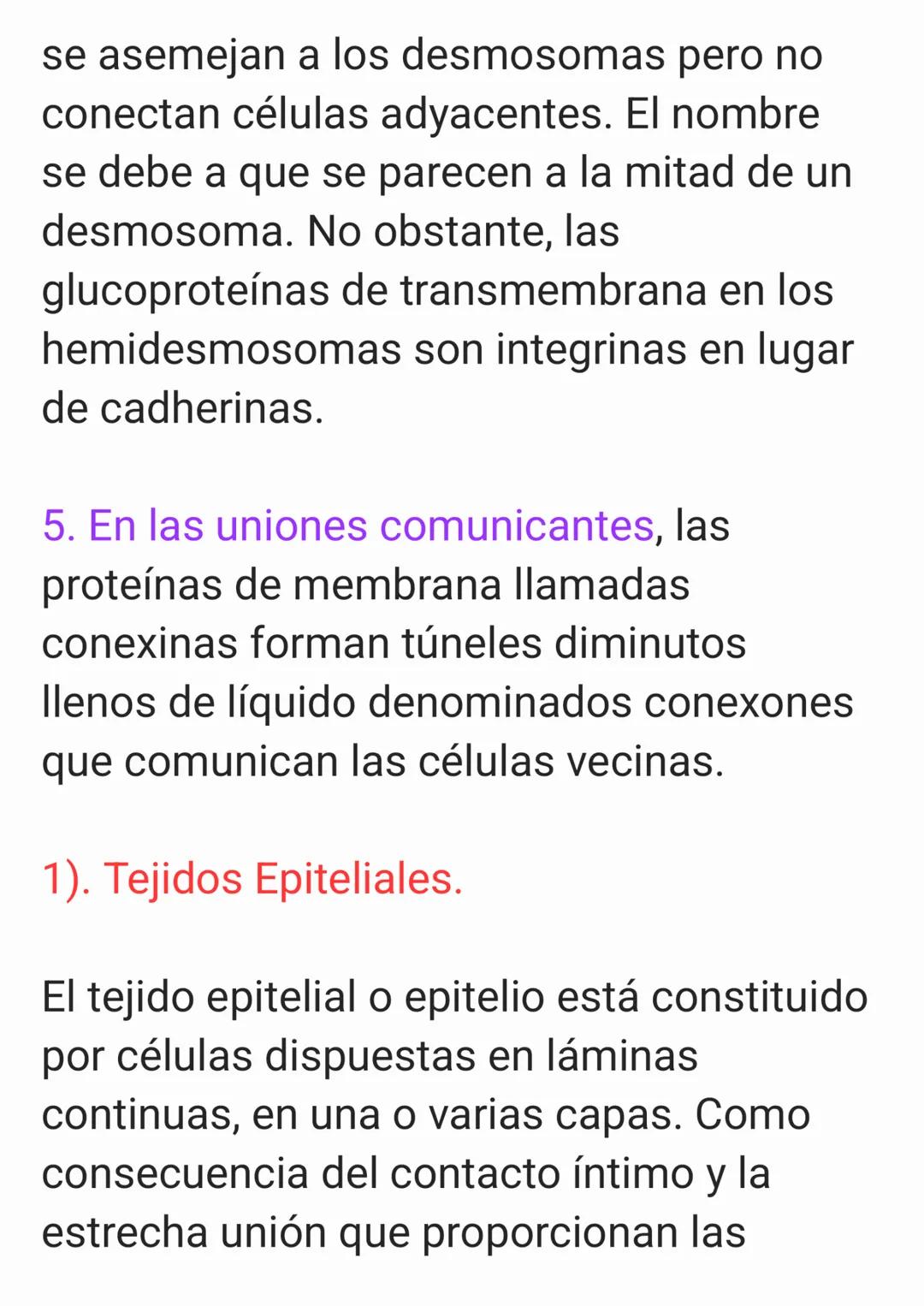 Cap 4. Nivel Tisular.
1. ¿Qué es un tejido?
Un tejido es un grupo de células que sue-
len tener un origen embrionario común y
funcionan en c