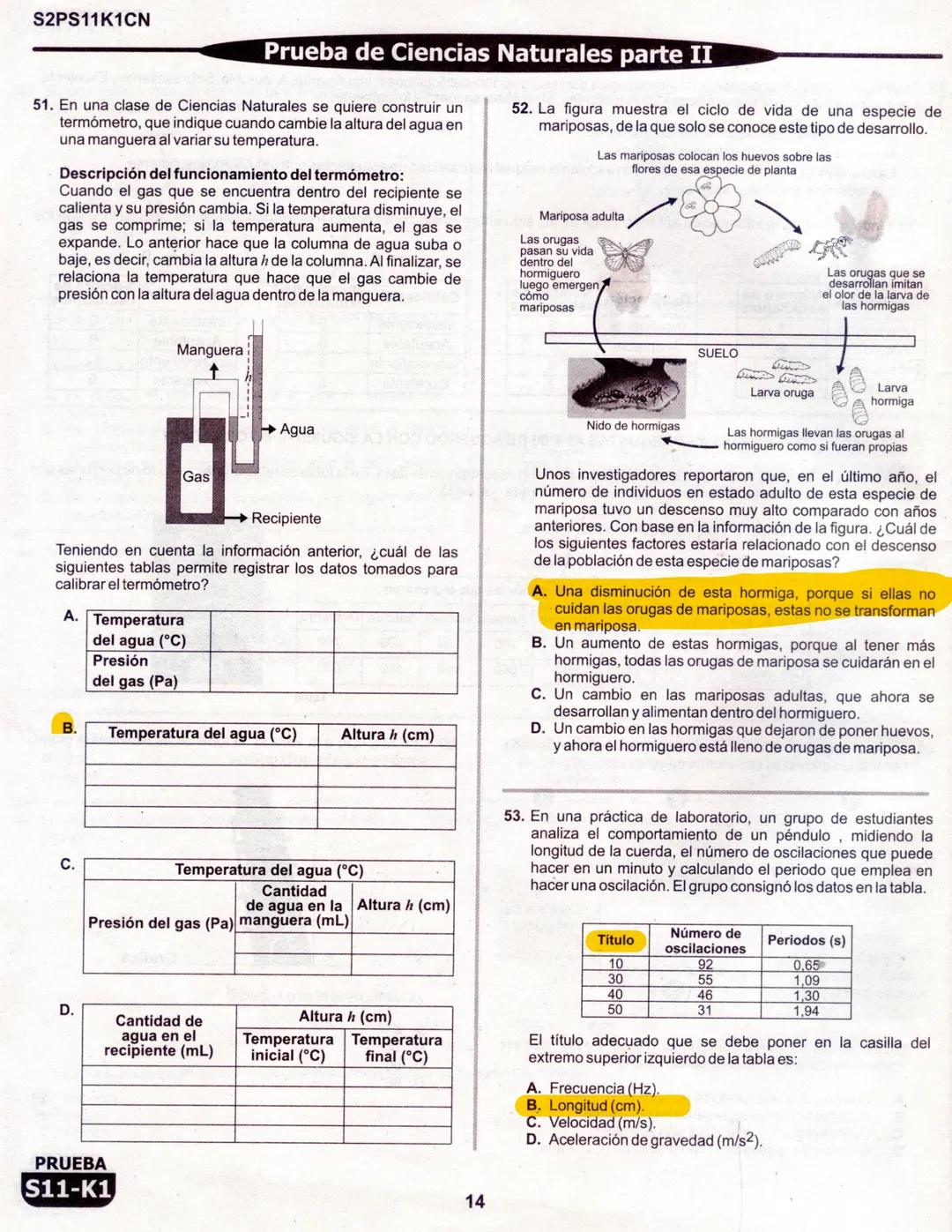 1
La
Evaluación
PRUEBA
S11-K1
Evaluación por Desempeño en Competencias
Segunda sesión
En el siguiente cuadro se muestran las pruebas que con