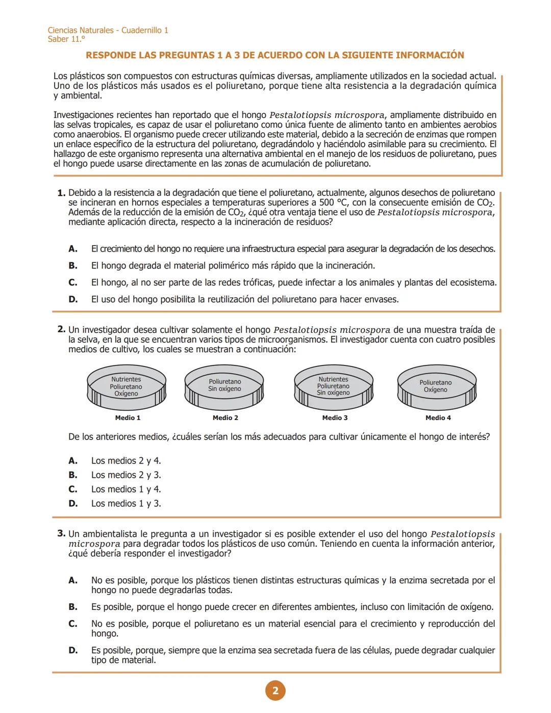 MINISTERIO DE EDUCACIÓN
NACIONAL
G11.C.D
C111
Ciencias Naturales
Cuadernillo 1 2023
11.°
GRADO
¡Hola!
Queremos agradecer tu participación. A