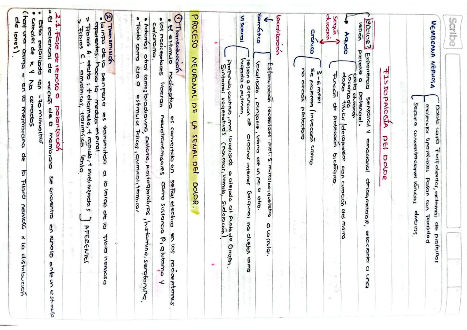 --- OCR Start ---
M
Scribe
Funcion del Sistema neruoso: recibir información de receptores extemos o
Internos.
cerebro
Encefalo
cerebelo
Tall