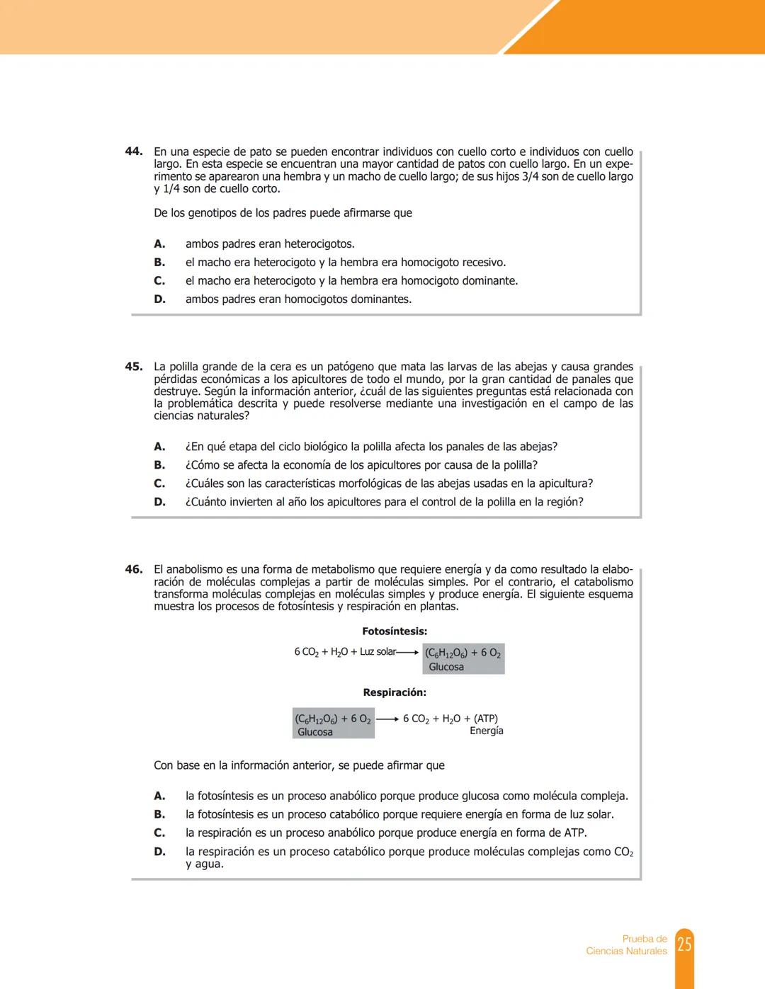 Cuadernillo de preguntas
Saber 11.°
Prueba de Ciencias
Naturales
MINEDUCACIÓN
icfes
mejor saber
TODOS POR UN
NUEVO PAÍS
PAZ EQUIDAD EDUCACIO