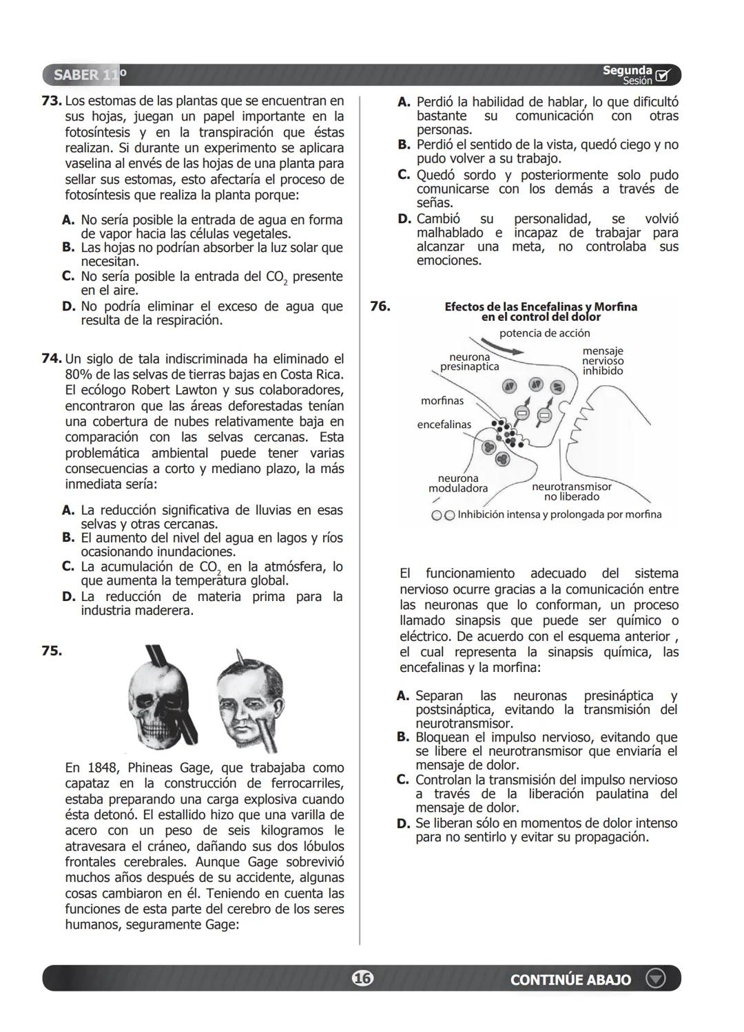 SABER 11°
PRUEBA DE CIENCIAS NATURALES
46. Un estudiante plantea la hipótesis de que el
cimiento de una planta que normalmente vive
en tempe