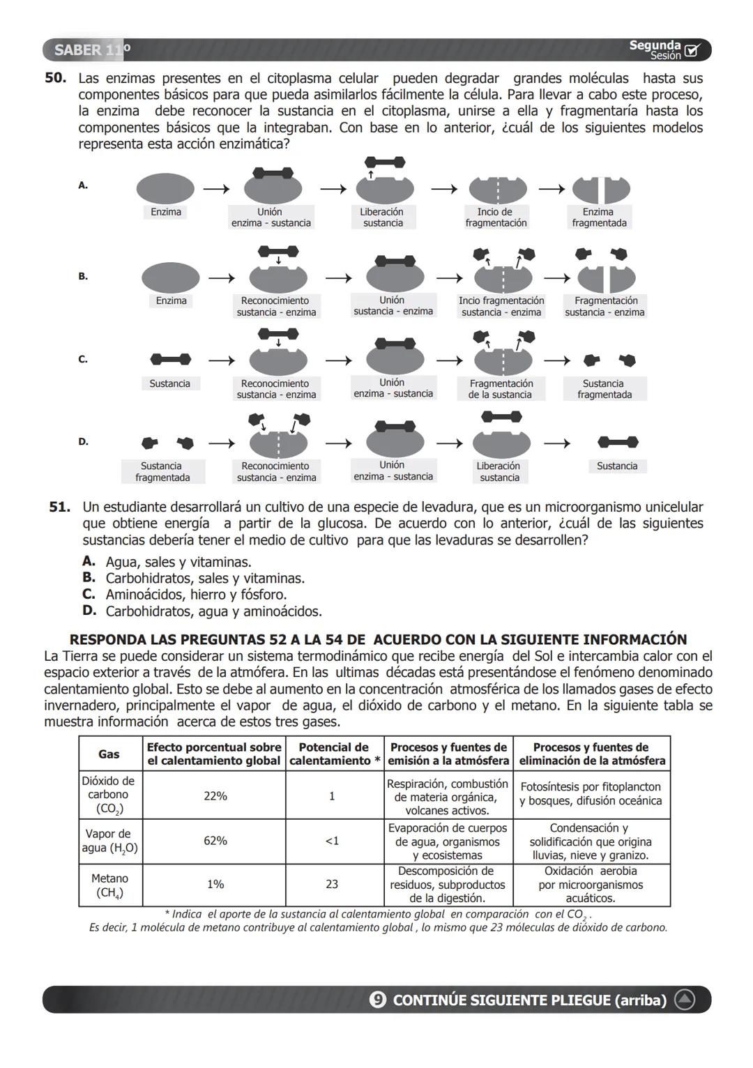 SABER 11°
PRUEBA DE CIENCIAS NATURALES
46. Un estudiante plantea la hipótesis de que el
cimiento de una planta que normalmente vive
en tempe