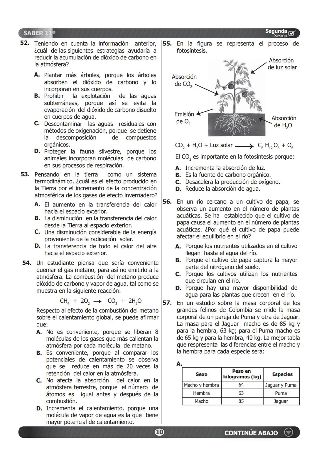 SABER 11°
PRUEBA DE CIENCIAS NATURALES
46. Un estudiante plantea la hipótesis de que el
cimiento de una planta que normalmente vive
en tempe