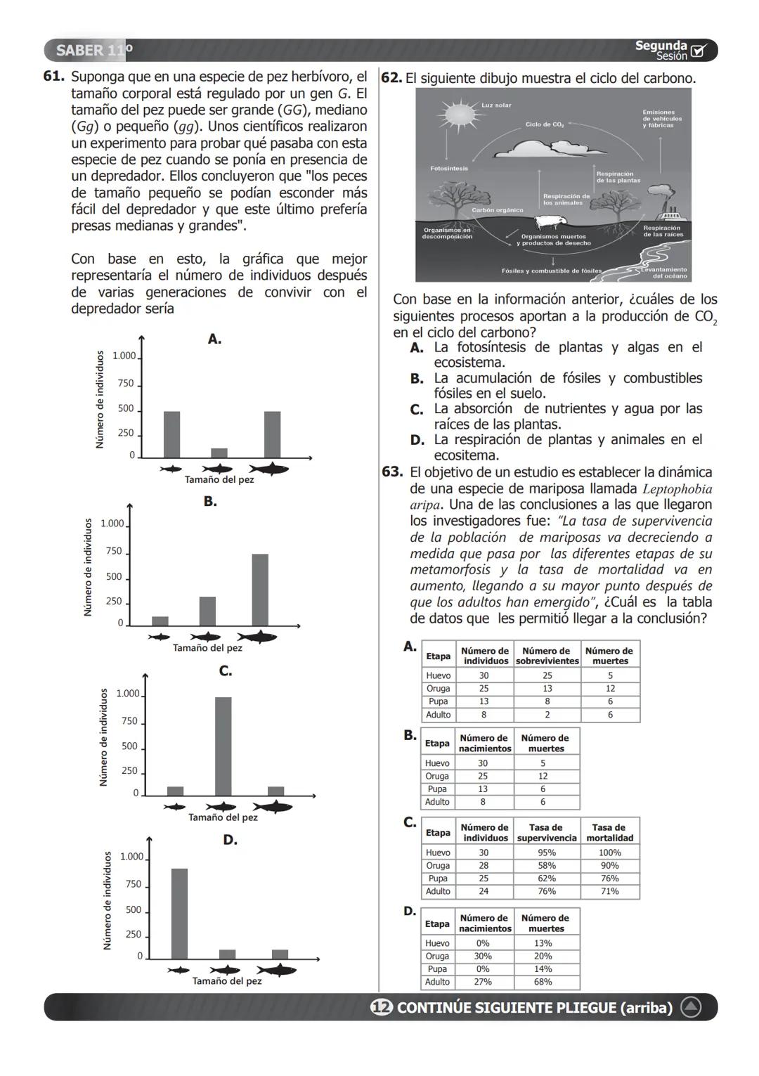SABER 11°
PRUEBA DE CIENCIAS NATURALES
46. Un estudiante plantea la hipótesis de que el
cimiento de una planta que normalmente vive
en tempe