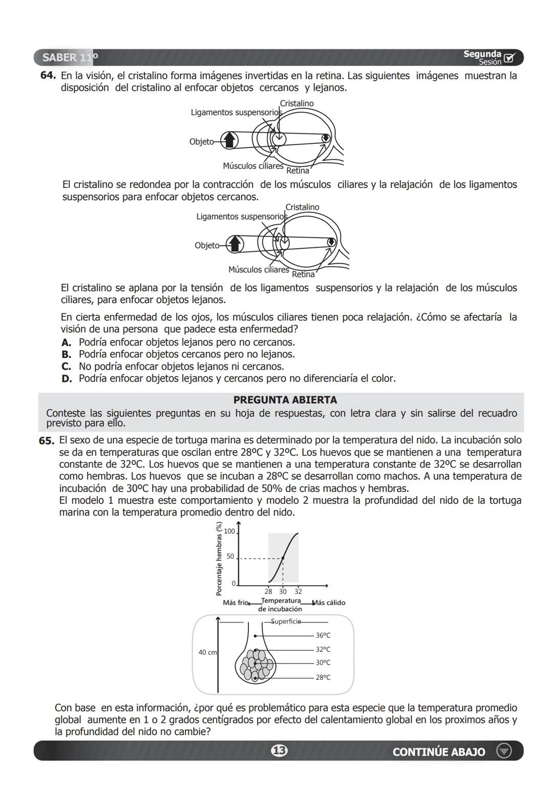 SABER 11°
PRUEBA DE CIENCIAS NATURALES
46. Un estudiante plantea la hipótesis de que el
cimiento de una planta que normalmente vive
en tempe