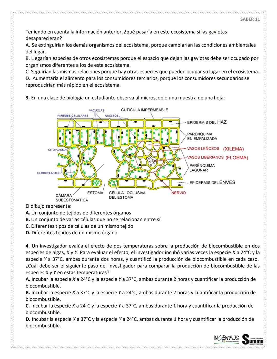 125 PREGUNTAS - 4 HORAS 30
MINUTOS.
SIMULACRO
DE
PRUEBAS
SABER 11°
¿Que tal si nos evaluamos?
SCAN ME
Tu
Profe
NERDOS PERO CON ESTILO
2ª EDI
