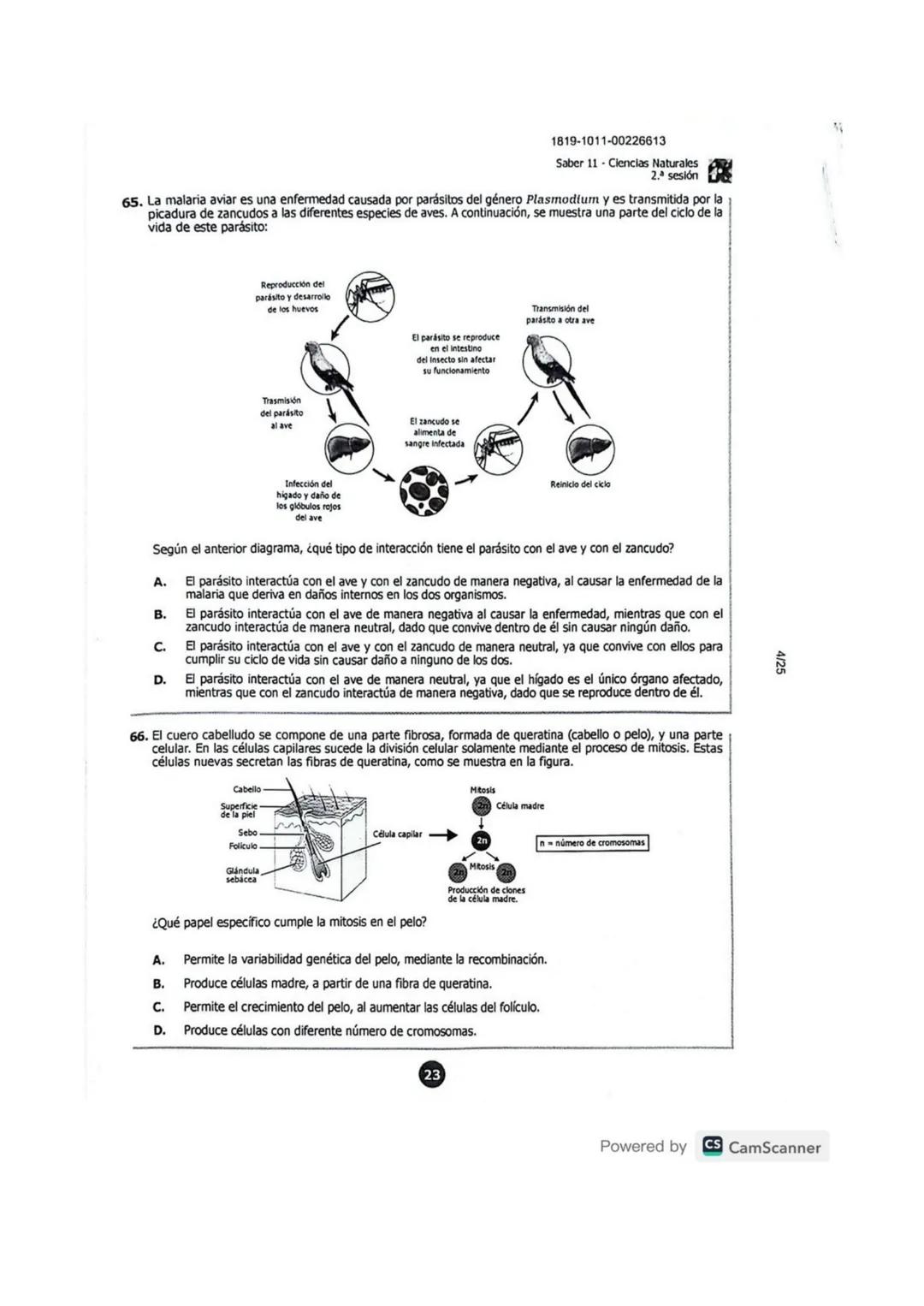 DCACC202512POOO23420587
001621213
COLOMBIA
POTENCIA DE LA
VIDA
1921-0767-00447712
AC202510479535
Educación
Desierto de la Tatacoa
ubicado en