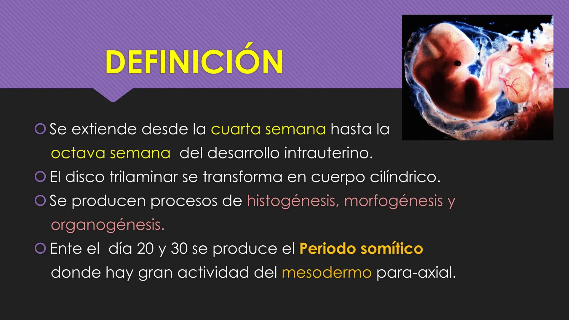 # Periodo Embrionario
Embriología
Dra. Helida Avendaño Maz
UNICOC DEFINICIÓN
O Se extiende desde la cuarta semana hasta la
octava semana de