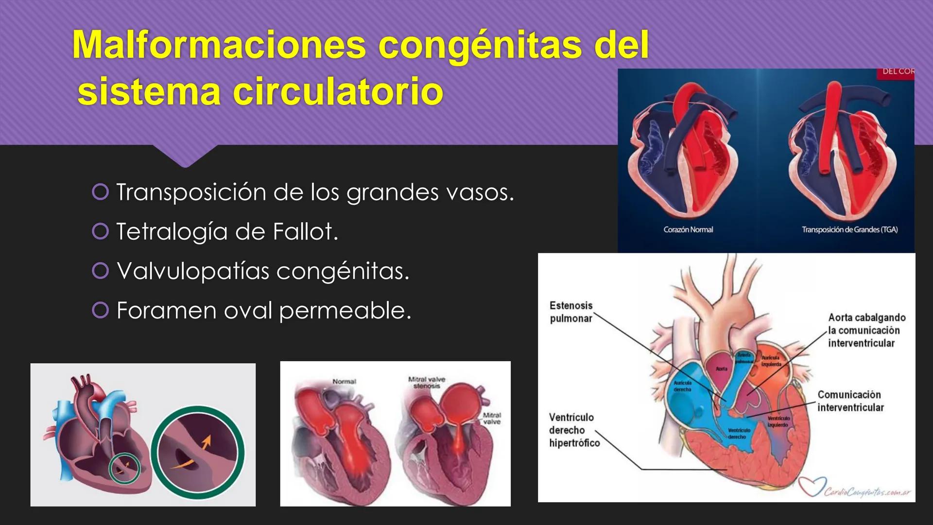 # Periodo Embrionario
Embriología
Dra. Helida Avendaño Maz
UNICOC DEFINICIÓN
O Se extiende desde la cuarta semana hasta la
octava semana de
