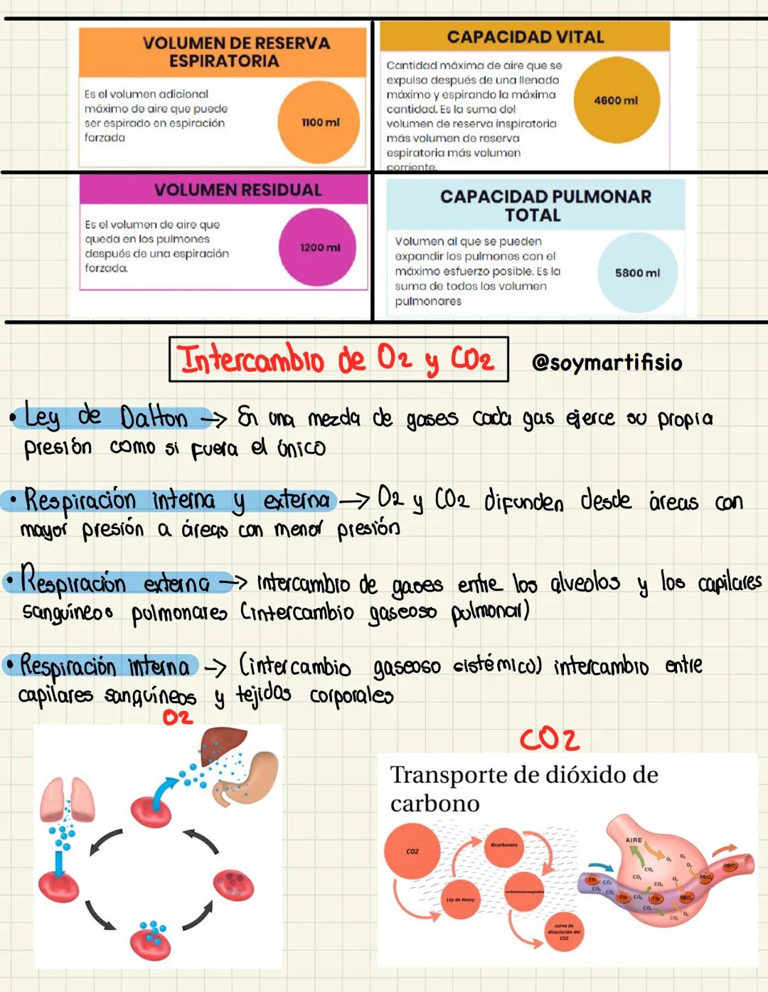 Superior
Inferior
pleuia
Sistema
→Contribuye a la homeostasis
Respiratorio del cuerpo con el intercambio
gaseoso (O2 + CO2)
→ S. respiratori