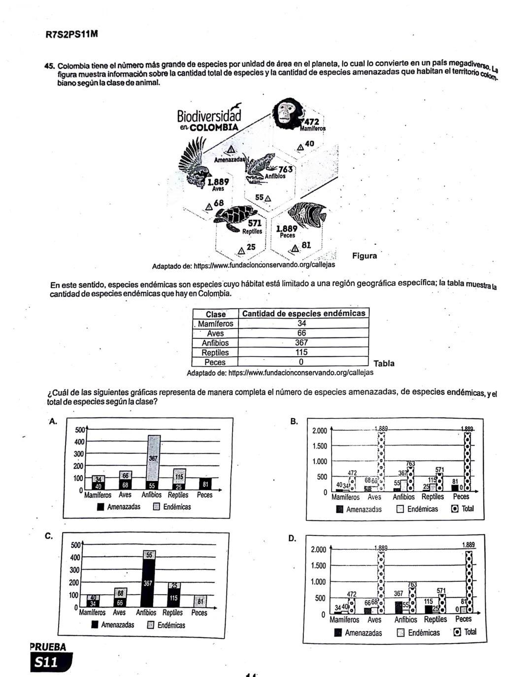 2
La
Evaluación
S11
Evaluación por Desempeño en Competencias
Segunda sesión
En el siguiente cuadro se muestran las pruebas que conforman el