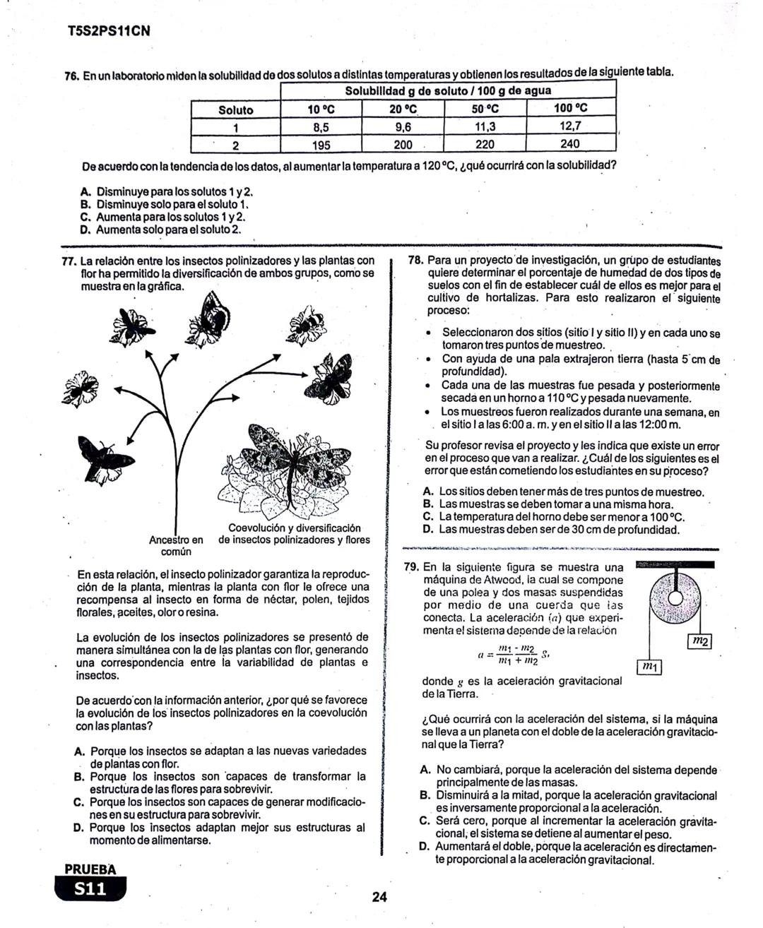2
La
Evaluación
S11
Evaluación por Desempeño en Competencias
Segunda sesión
En el siguiente cuadro se muestran las pruebas que conforman el