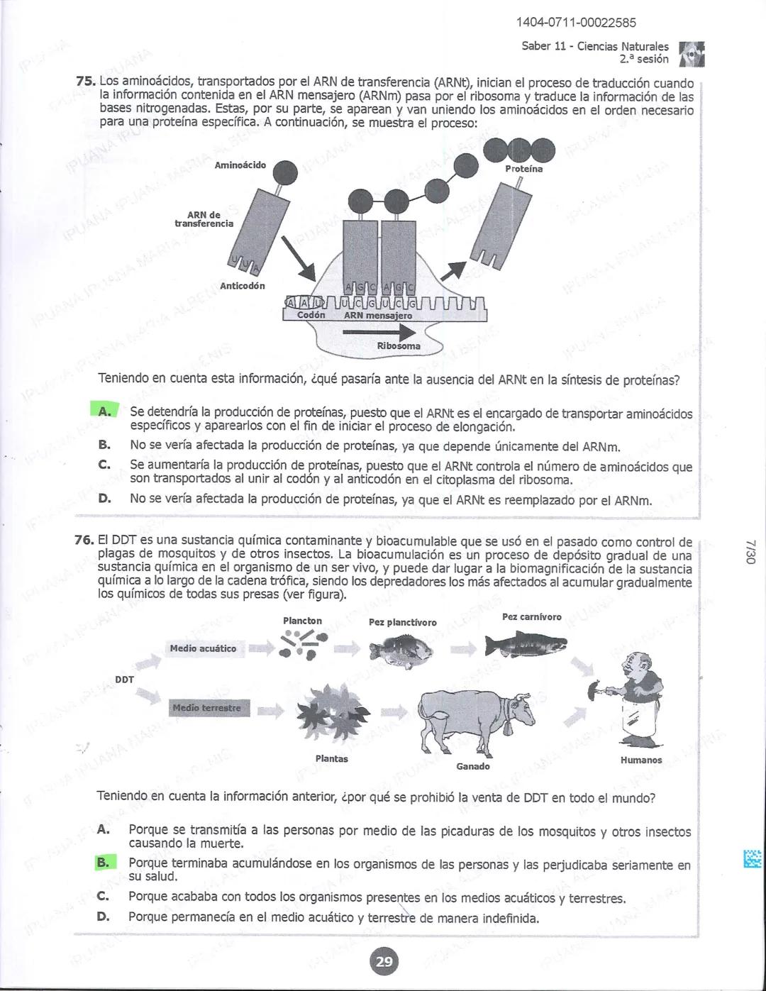 1404-0211-00022585
icfes 02
SOCIALES Y CIUDADANAS
1. Un grupo de mineros artesanales ha aumentado sus ingresos al encontrar un punto del río