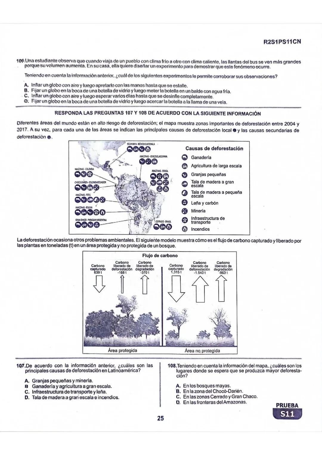 La
Evaluación
S11
Evaluación por Desempeño en Competencias
Primera sesión
En el siguiente cuadro se muestran las pruebas que conforman el ex